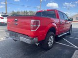 Used 2014 Ford F150 XLT w/ Equipment Group 302A Luxury image 6