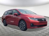 New 2025 Honda Odyssey Elite image 5