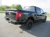 New 2025 Ford F150 XLT image 5