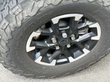 Used 2024 Jeep Wrangler Unlimited Rubicon 4xe w/ Convenience Group image 5