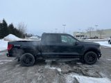 New 2025 Ford F150 XLT w/ Equipment Group 301A Standard image 2
