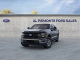 New 2025 Ford F150 XLT w/ Equipment Group 301A Standard image 2