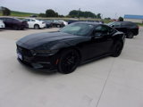 Used 2024 Ford Mustang Coupe image 6