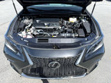 Used 2024 Lexus ES 300h F Sport w/ Accessory Package (Z2) image 5