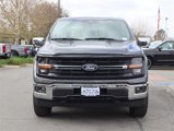New 2025 Ford F150 XLT w/ Equipment Group 303A High image 2