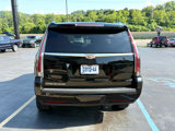 Used 2020 Cadillac Escalade Platinum image 4