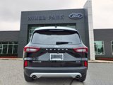 Certified 2024 Ford Escape Active image 6