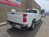 Used 2024 Chevrolet Silverado 1500 W/T w/ WT Fleet Convenience Package image 4