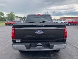 New 2024 Ford F150 XLT w/ Equipment Group 303A High image 4