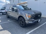 Certified 2022 Ford F150 XLT w/ Equipment Group 302A High image 2