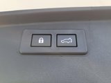 New 2025 Subaru Outback Wilderness image 5