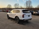 New 2025 Kia Telluride SX Prestige image 5