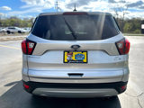 Used 2019 Ford Escape SE image 6