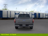 New 2025 Ford F150 Platinum image 5