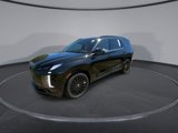 New 2025 Hyundai Palisade Calligraphy image 4