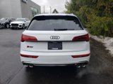 New 2025 Audi SQ5 Premium Plus image 5