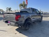 New 2025 Ford F150 XLT w/ Equipment Group 301A Standard image 5