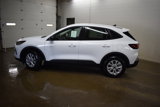 New 2025 Ford Escape Active w/ Cold Weather Package image 3