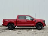 New 2025 Ford F150 STX image 6