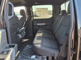 New 2025 Ford F150 XLT w/ Equipment Group 302A MID image 6