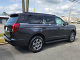New 2025 Ford Expedition Active image 4