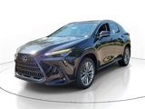 New 2025 Lexus NX 300h AWD w/ Luxury Package image 2