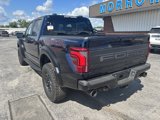 New 2025 Ford F150 Raptor image 5