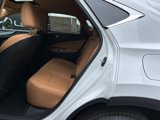 New 2026 Lexus NX 350 AWD w/ Premium Package image 5