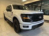 New 2025 Ford F150 XLT w/ Equipment Group 303A High image 2