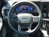 New 2025 Ford F150 Platinum w/ Equipment Group 702A High image 4