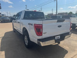 Used 2021 Ford F150 XLT w/ Equipment Group 301A Mid image 3