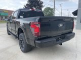 New 2025 Ford F150 XLT image 6