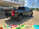 New 2025 Ford F250 Platinum image 2
