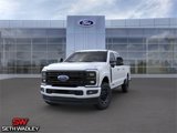 New 2025 Ford F250 Platinum image 3