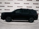 New 2025 Honda Pilot Elite image 2