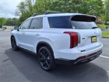 New 2025 Hyundai Palisade XRT image 5