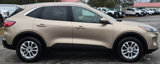 Used 2020 Ford Escape SE image 4