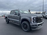 New 2024 Ford F250 XL image 4