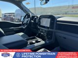 New 2025 Ford F150 XLT w/ Equipment Group 302A MID image 3