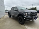 New 2025 Ford F150 Raptor image 6
