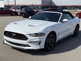 Used 2023 Ford Mustang Premium image 4