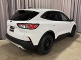 Used 2020 Ford Escape SE image 5