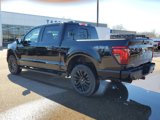 New 2025 Ford F150 XLT image 4