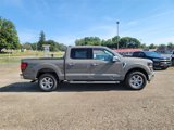 New 2025 Ford F150 XLT w/ Equipment Group 302A MID image 4