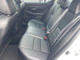 Used 2023 Nissan Sentra SR w/ SR Premium Package image 6