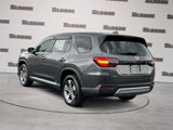 Certified 2024 Honda Pilot EX-L image 3