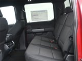 New 2025 Ford F150 XLT image 5