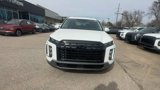 New 2025 Hyundai Palisade SEL image 3