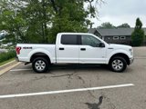 Used 2015 Ford F150 XLT image 4