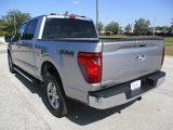 New 2025 Ford F150 XLT image 5